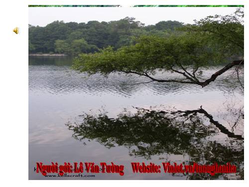 Tuần 23. Hoa học trò