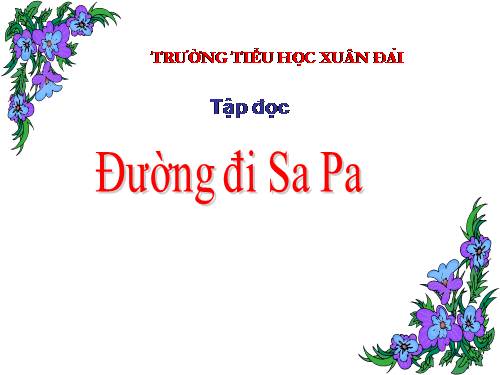 Tuần 29. Đường đi Sa Pa