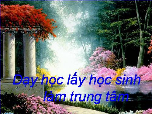 DH lấy HS làm trung tâm