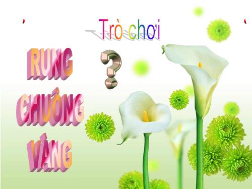 Rung chuong vang_Dung XT