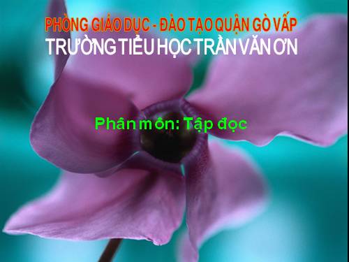 Tuần 31. Ăng-co Vát