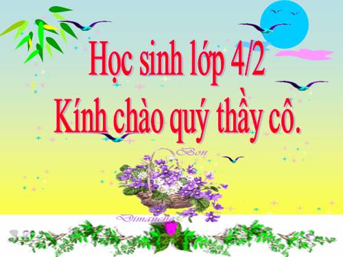 Tuần 23. Hoa học trò