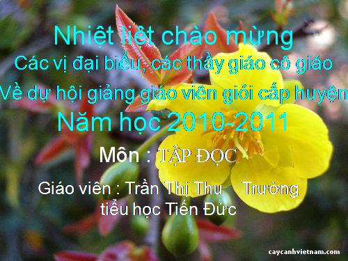 Tuần 21. Anh hùng Lao động Trần Đại Nghĩa