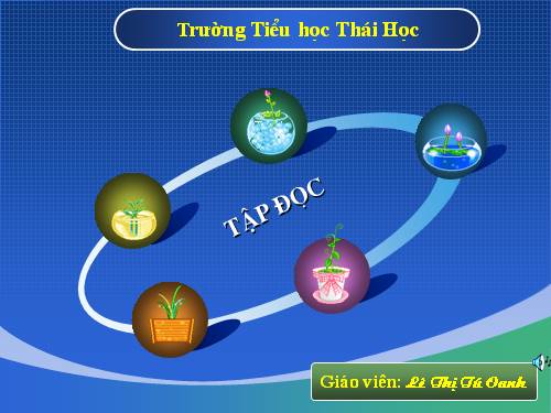 Tuần 27. Con sẻ