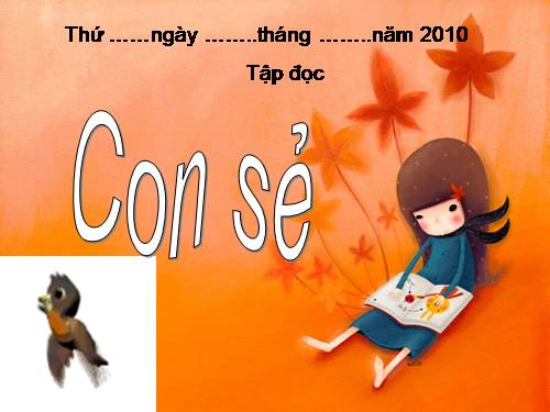 Tuần 27. Con sẻ