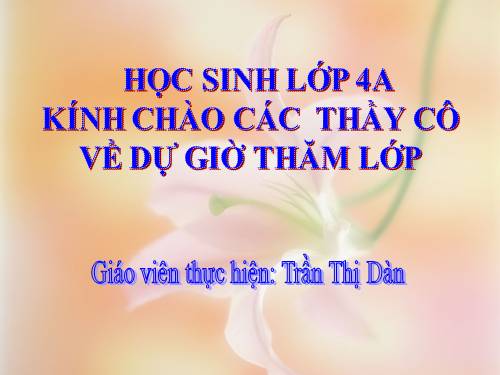 Tuần 23. Khúc hát ru những em bé lớn trên lưng mẹ