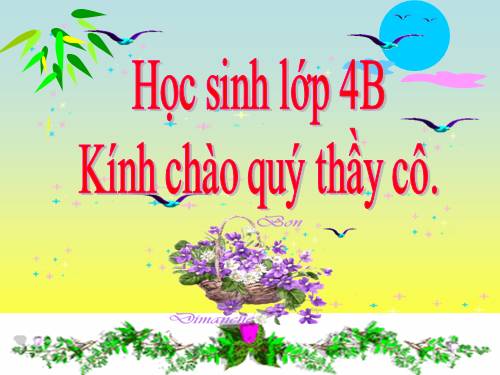 Tuần 23. Hoa học trò