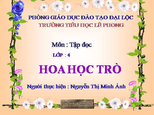 Tuần 23. Hoa học trò