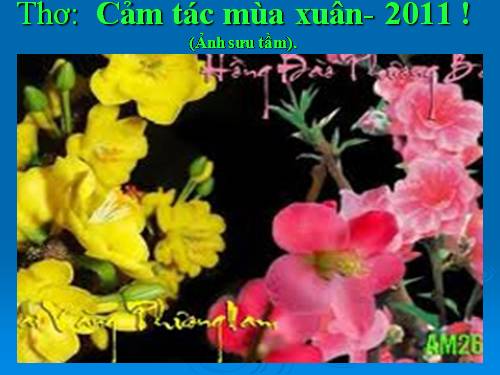 Thơ: GT thơ cảm tác xuân 2011 !