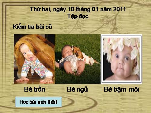 Tuần 20. Bốn anh tài (tiếp theo)