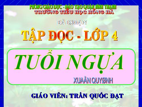 Tuần 15. Tuổi Ngựa