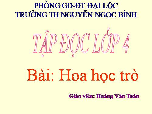 Tuần 23. Hoa học trò