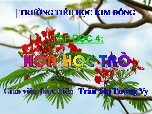 Tuần 23. Hoa học trò