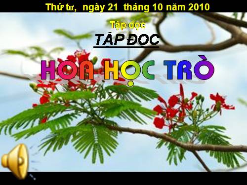 Tuần 23. Hoa học trò