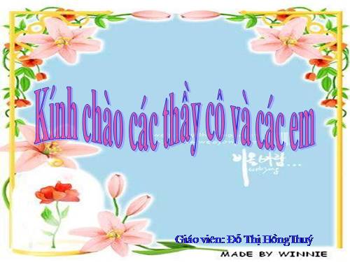 Tuần 12. Vua tàu thủy Bạch Thái Bưởi