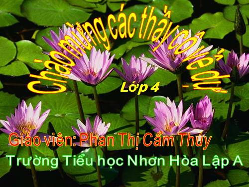 Tuần 12. Vua tàu thủy Bạch Thái Bưởi