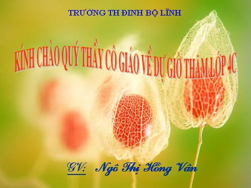 Tuần 11. Ông Trạng thả diều