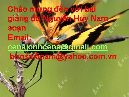 Con chuồn chuồn nước