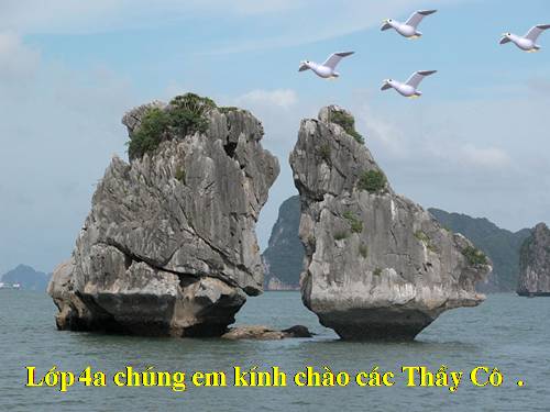 Tuần 8. Đôi giày ba ta màu xanh