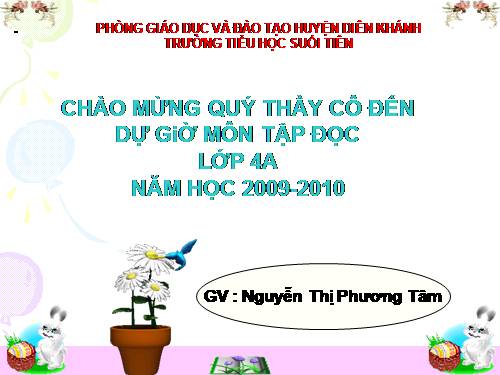 Tuần 15. Tuổi Ngựa