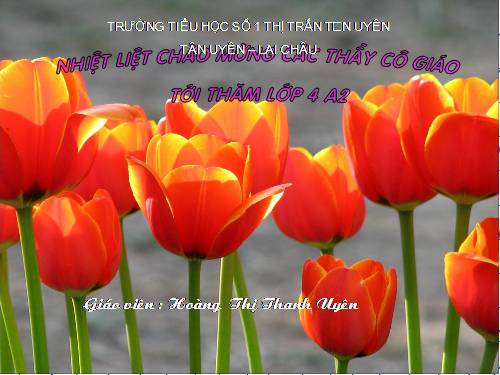 Tuần 27. Dù sao trái đất vẫn quay!