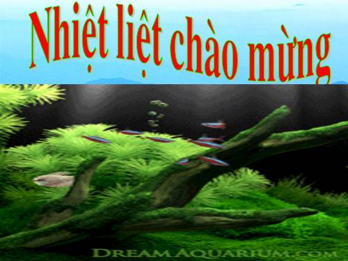 Tuần 8. Đôi giày ba ta màu xanh