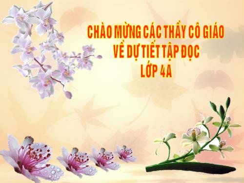 Tuần 4. Một người chính trực