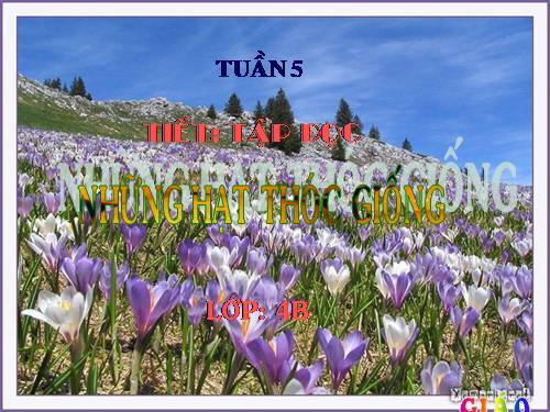 Tuần 5. Những hạt thóc giống