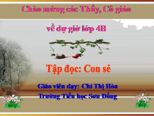 Tuần 27. Con sẻ