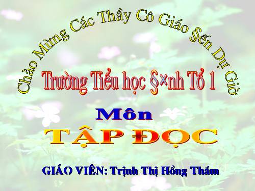 Tuần 15. Tuổi Ngựa