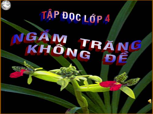 Tuần 32. Ngắm trăng. Không đề