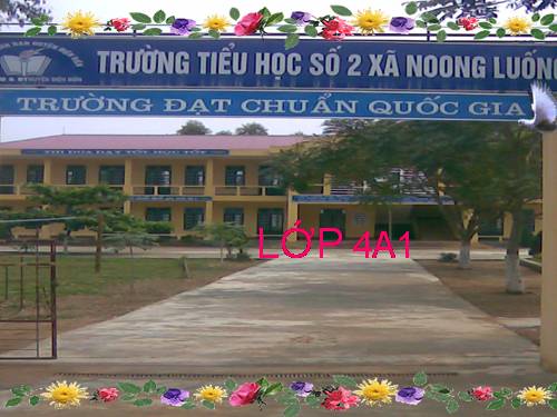 Tuần 34. Ăn mầm đá