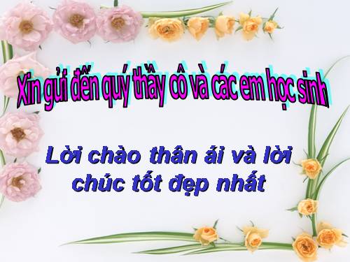 Tuần 23. Hoa học trò