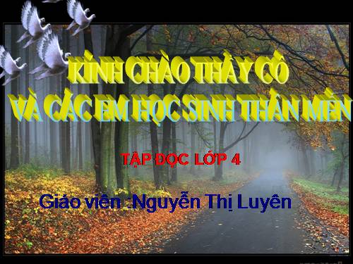 Tuần 29. Đường đi Sa Pa
