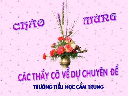 Tuần 12. Vua tàu thủy Bạch Thái Bưởi