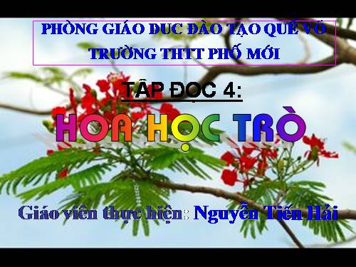 Tuần 23. Hoa học trò