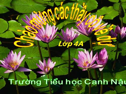 Tuần 12. Vua tàu thủy Bạch Thái Bưởi