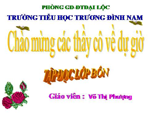 Tuần 23. Hoa học trò