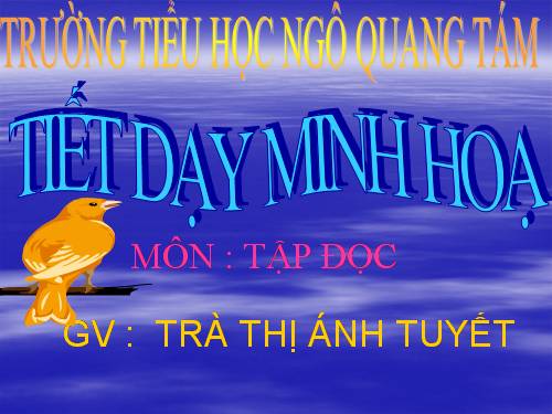 Tuần 27. Dù sao trái đất vẫn quay!
