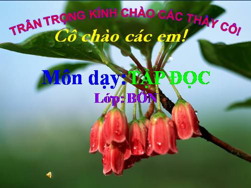 Tuần 31. Con chuồn chuồn nước