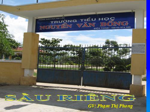 Tuần 22. Sầu riêng