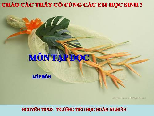 Tuần 12. Vẽ trứng