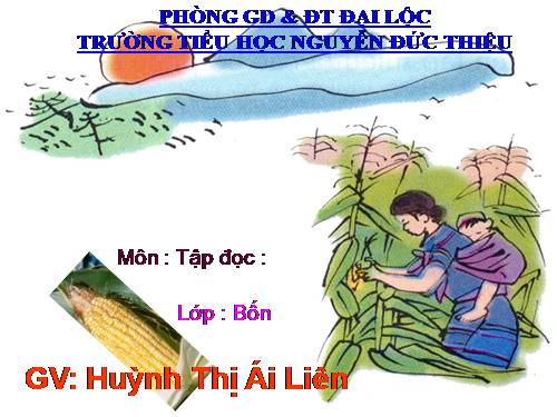 Tuần 23. Khúc hát ru những em bé lớn trên lưng mẹ