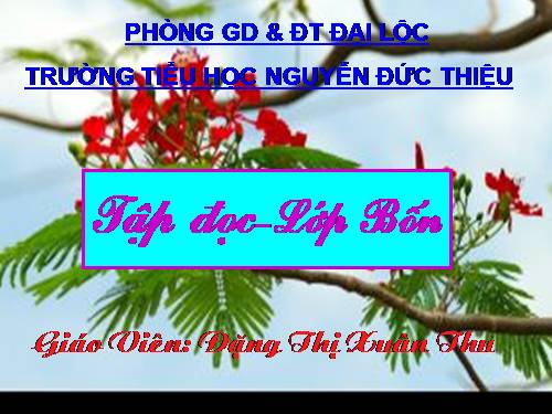 Tuần 23. Hoa học trò