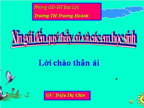 Tuần 27. Con sẻ