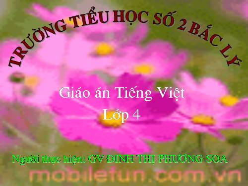 Tuần 23. Hoa học trò