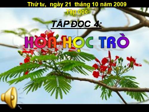 Tuần 23. Hoa học trò