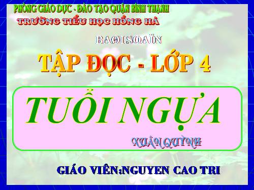 Tuần 15. Tuổi Ngựa