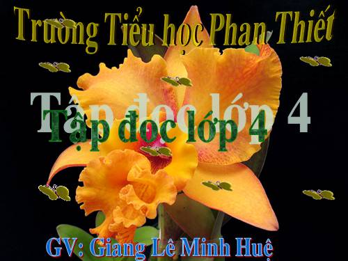 Tuần 8. Nếu chúng mình có phép lạ