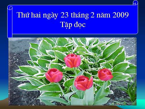 Tuần 25. Khuất phục tên cướp biển